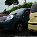 Panda kangoo.JPG